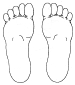 pies